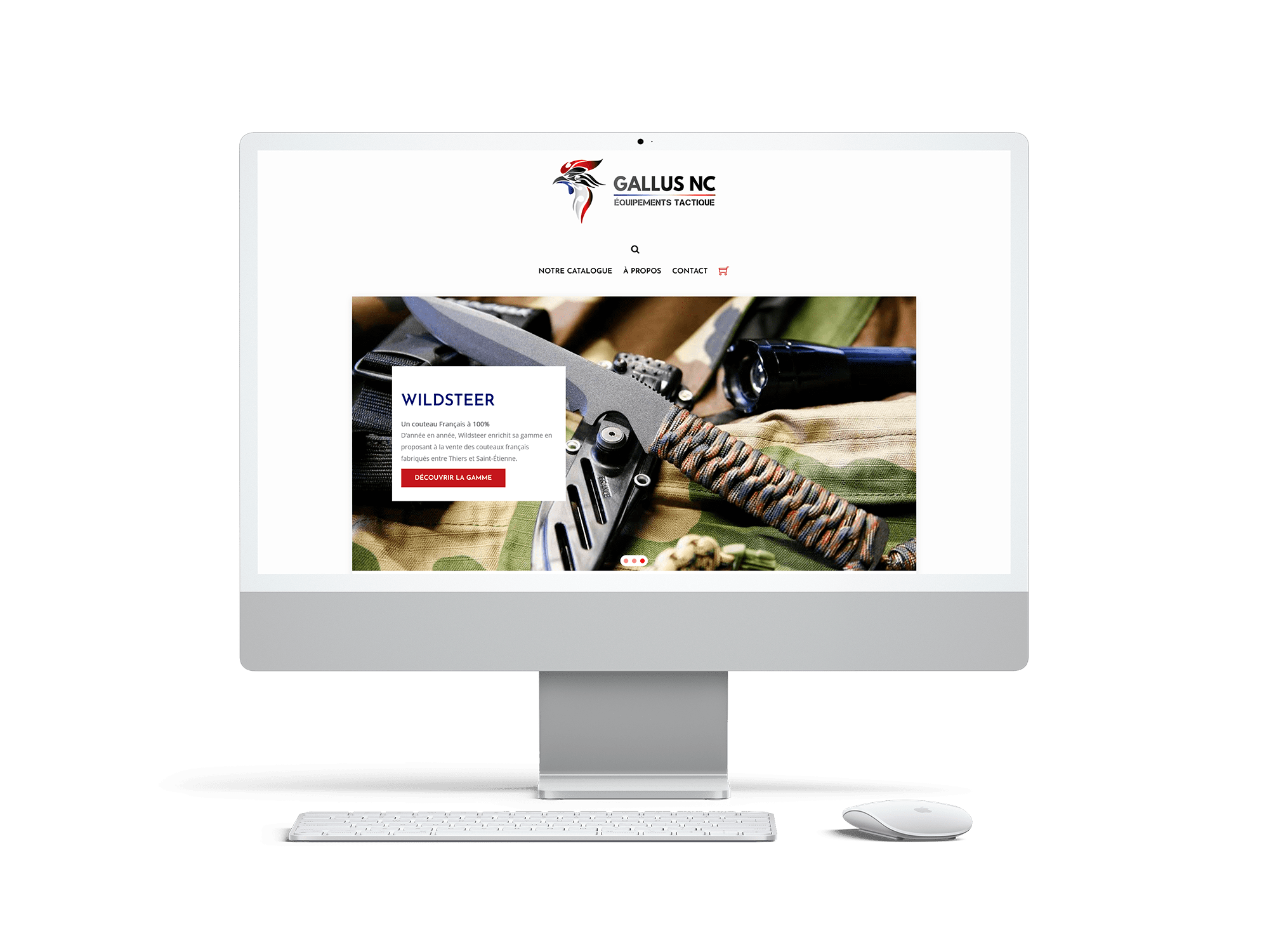 Gallus NC - Site Ecommerce Gallus NC - Site Ecommerce